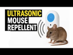High Pitch Sound to Get Rid of Mice - Sonic Pest Repellent