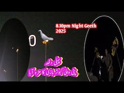 Maza A Giya 1st Time Night Patti Wali Kabotar BaZi In Faisalabad || Dr Sajid Group || winner Night 8