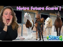 On construit notre (vraie) future écurie !