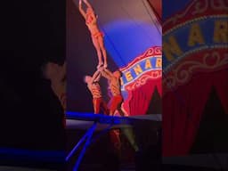 Venardos Circus: Trapeze Act
