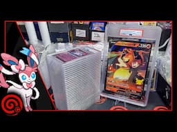 FRESH NEW SLABS - MOVING SALE - LIQUIDATION PRICES - HOT BREAKS - LIVE CARD SHOP