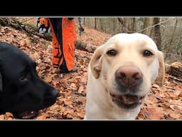 Cutting Up Felled Trees On The Trail