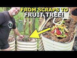 I Grew a FRUIT TREE from KITCHEN SCRAPS!