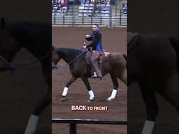 Techniques for Connection and Control