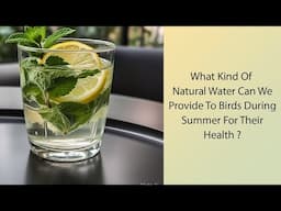 What kind of natural water can we provide to birds during summer for their health?