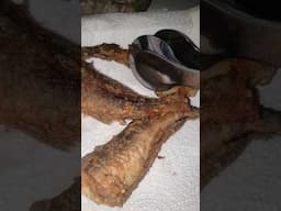 The perfect way to fry Panla  Fish for Party's without breaking # Fish #shorts #