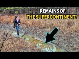 Discovering Fossils from the Supercontinent - A 320 Million Year Journey into Alabama's Past!