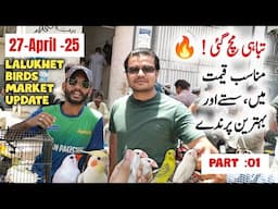 lalukhet birds market Karachi latest update 27-04-2025 | Liaquatabad birds market