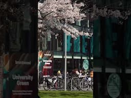The University of Manchester campus in Spring