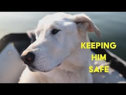 Life on a Boat with an OLD Dog | Ch 6 E 17
