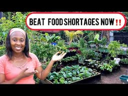 BEAT Food Shortages With This ONE Solution! Do This Now!🤑