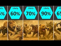 Animals Fight Comparison (1 to 1): Who Wins?