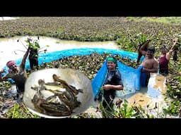 কচুরি পুকুর থেকে মশারি দিয়ে জ্যান্ত কৈ মাগুর ল্যাঠা চ্যাং ধরে রান্না করে খাওয়া | fishing & cooking