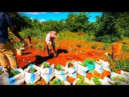 #34 Kitchen garden comeback. Peaceful rural Zimbabwe living.