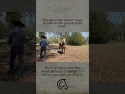 Pivot your groundwork. #horse #carsonjames #fyp #horselife #equestrian #vaquero