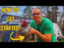 Egg Laying Hens 101: How to Raise Happy Chickens in a Small Backyard