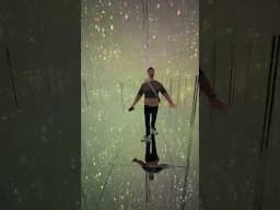 STUNNING! TeamLab Borderless in Tokyo, Japan.