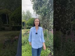 Reflections on Chelsea!