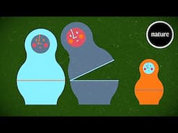 How quickly do humans mutate? Four generations help answer the question