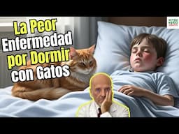 😱 Esta es La PEOR ENFERMEDAD por DORMIR con GATOS 🦠 ¿TAN MALO es DORMIR con ellos? 🤔
