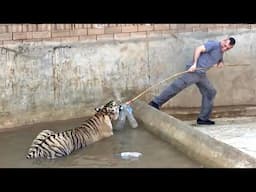 MAN AND BEAST - Part 53 - Great Animal Compilations