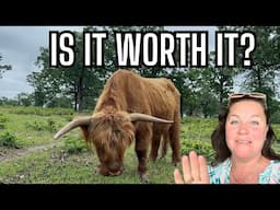 Chick Chaos & Coop Shuffle! Rare Breeds, Garden Setbacks, and Highland Cow Peaceful Moments