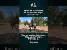 #horse #vaquero #fyp #carsonjames #equestrian #rayhunt #buckaroo #shorts #clips #horses #horselife