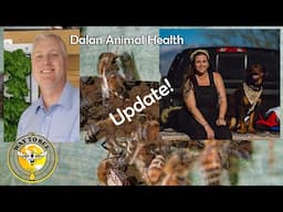Honey Bee Vaccine UPDATE with surprising benefits. Interview with Dalan Animal Health.