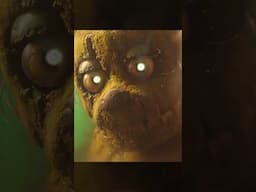FNAF 3 turns 10 today!!! To celebrate we are teasing footage from our shoot with @DaRegularSauce
