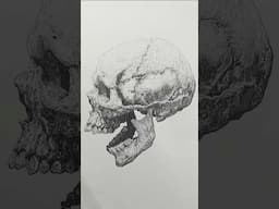So much fun rendering skulls. Book 3 on the way 🙂