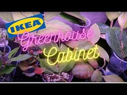 Houseplant Tour | Ikea Milsbo Greenhouse Cabinet #2