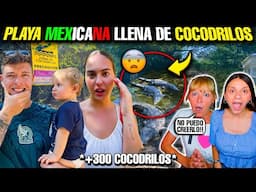 ESTA PLAYA MEXICANA este **LLENA DE COCODRILOS**😱🇲🇽 ¡¡No podemos creerlo!! | REACCIÓN