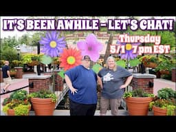 It's been AWHILE! Let's Chat! Livestream