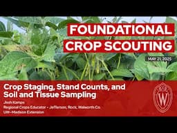 Crop Staging, Stand Counts, and Soil and Tissue Sampling