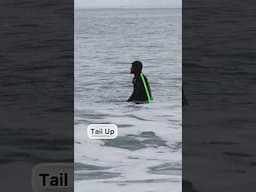 Back Pain Surfing? #surf #surfing