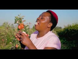 THIS IS WHAT YOU NEED TO DO BEFORE HARVESTING OR AFTER HARVESTING YOUR WAMBUGU APPLES