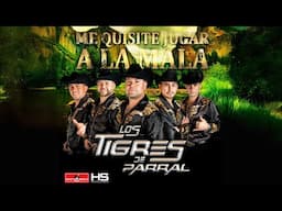 Los Tigres de Parral - Me Quisiste A Jugar a La Mala 🐯🤠
