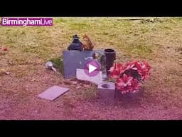 Grieving parents furious as cemetery’s baby grave section left all over the place