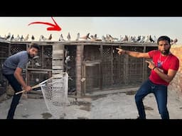 Aaj kisi Kay Ghar se kabutaron ke larai karwa kar 1 kabutar paker liya 😳😳