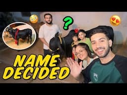 Name rakdiya cow ka😳 Tayyar kardiya Poora 😍