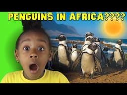 The Craziest Facts About African Penguins Living in HOT South Africa! | Fun Animal Facts for Kids