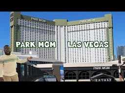 Inside the Park MGM Resort & Casino in Las Vegas in 2025