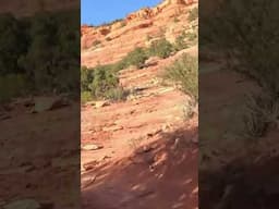 Just beautiful in Sedona! Just watch out for some of those plants!