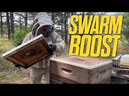 SWARM BOOST, Adding Frames with Nurse Bees to Small Swarm to Give It a Boost