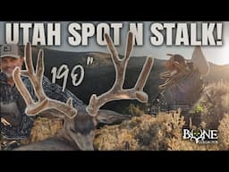 2 HOUR STAND OFF with a 190+" VELVET MULEY!