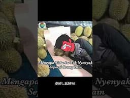 Mengapa Tidurku Tak Nyenyak Seperti Orang Lain? #countryhumans #memefunny