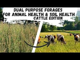 Dual Purpose Forages for Animal Health & Soil Health