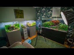 Integrated aquascaping (4K)
