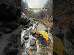 Yulla Kanda Himachal | Day 02