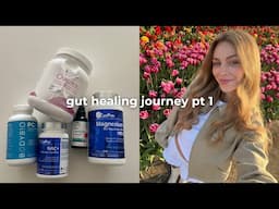 gut healing journey part 1 | gi map results, holistic protocol for h pylori, parasites, leaky guy